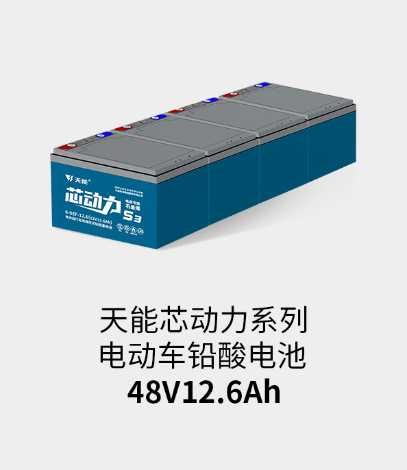 公海彩船电池48v12ah