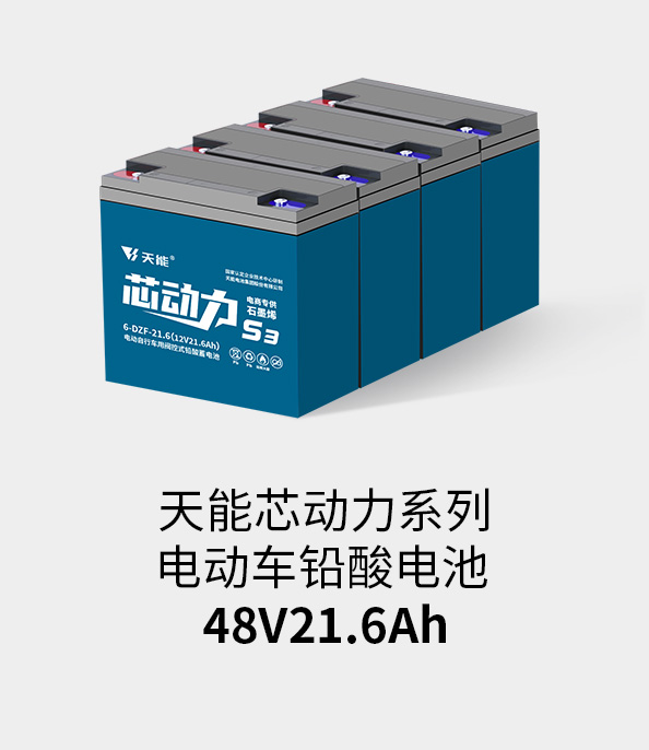 公海彩船电池48v20ah
