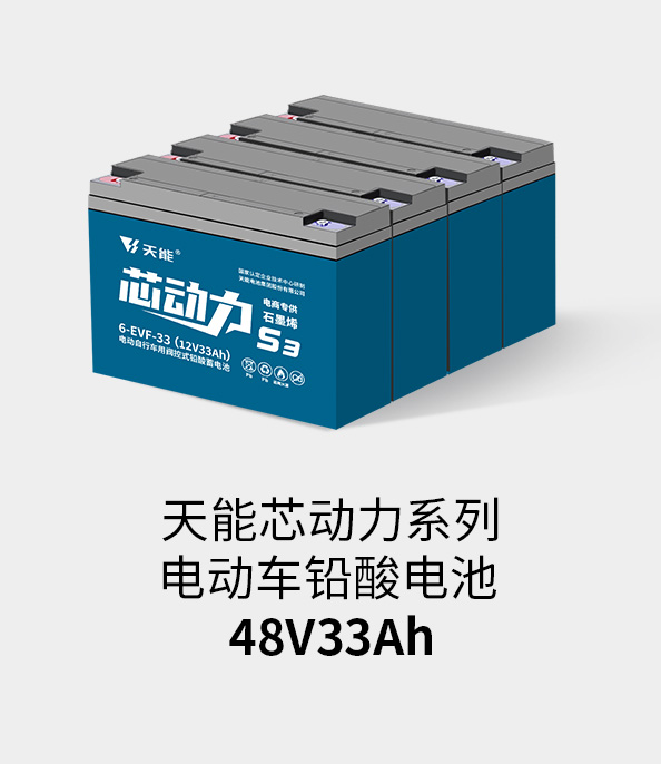 公海彩船电池48v32ah