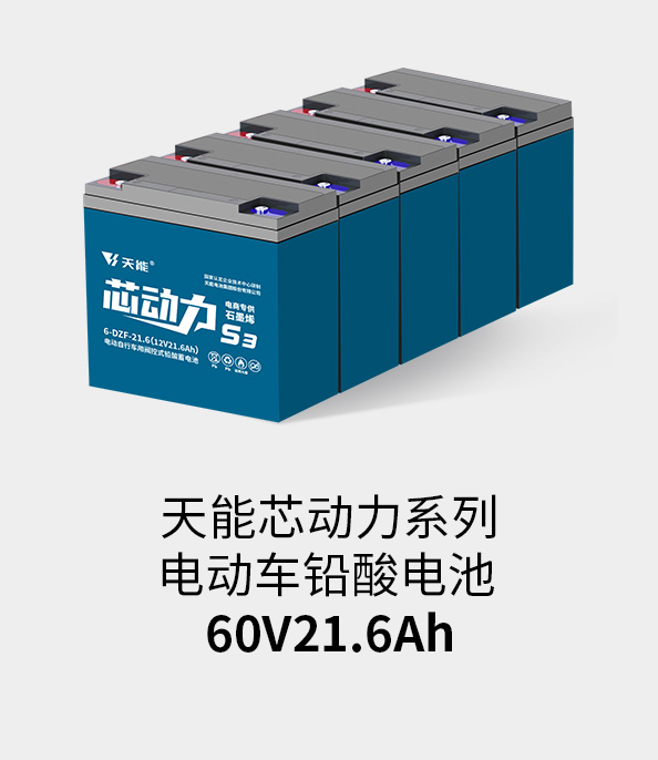 公海彩船电池60v20ah
