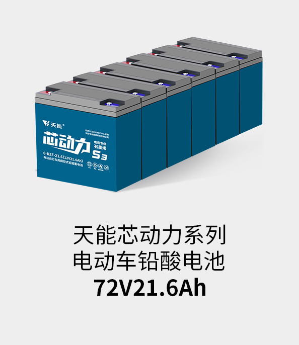 公海彩船电池72v20ah