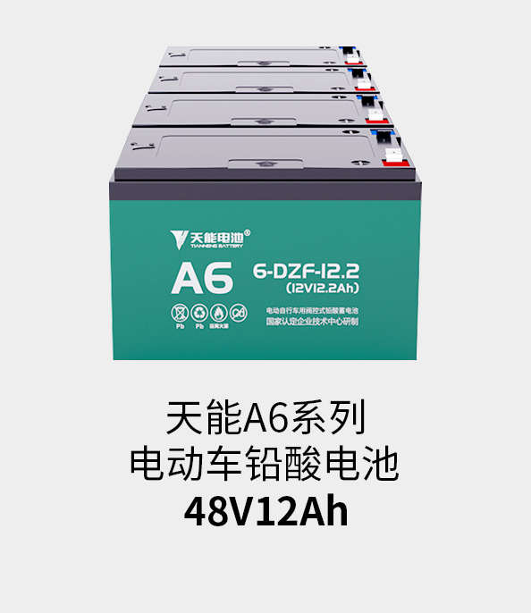 公海彩船电池48v12ah