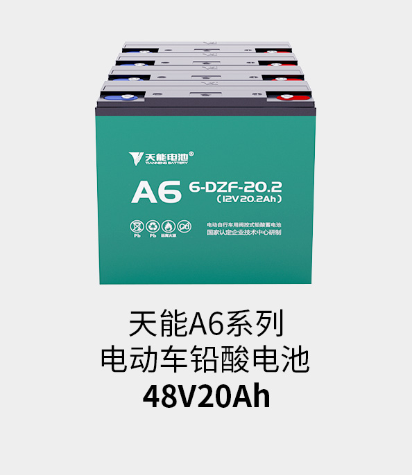 公海彩船电池48v20ah