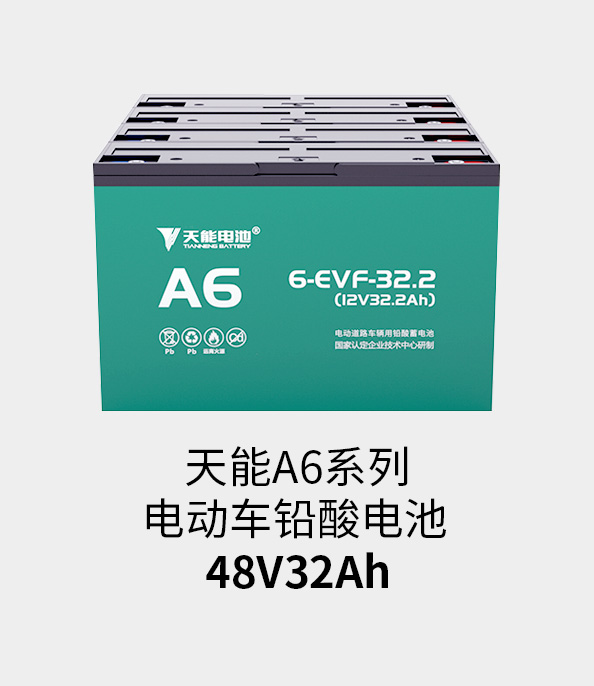 公海彩船电池48v32ah