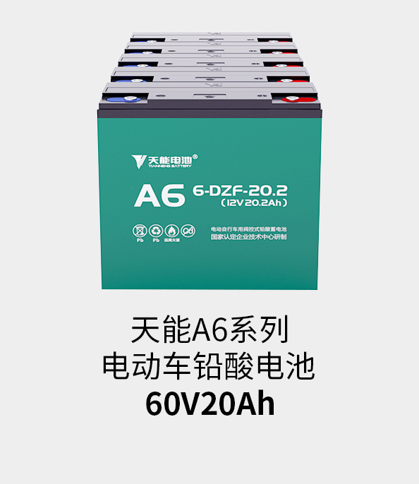 公海彩船电池60v20ah