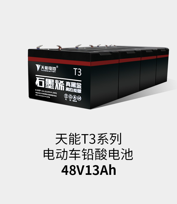 公海彩船T3系列48v13ah