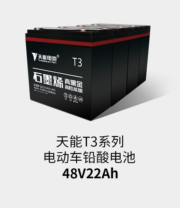 公海彩船T3系列48v22ah
