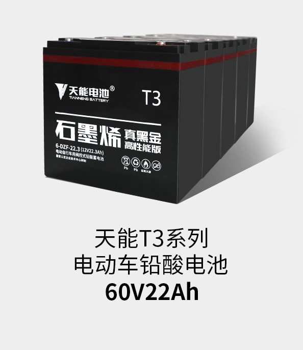 公海彩船T3系列60v22ah