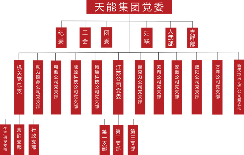公海彩船建团党委组织架构